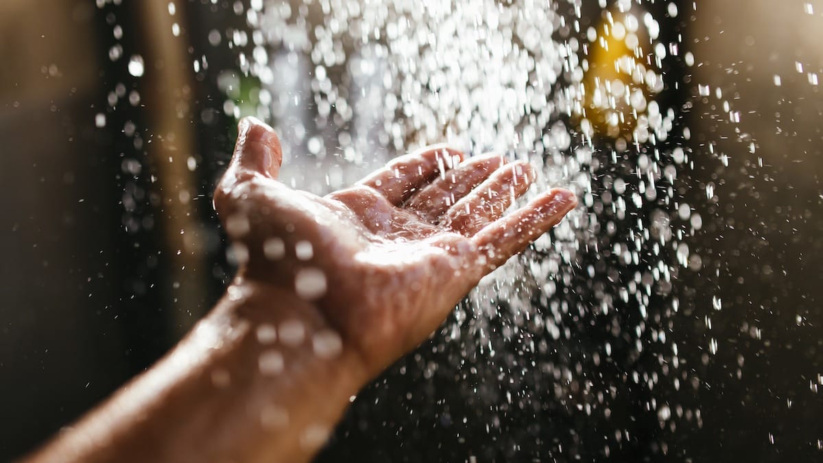 Finding Your Inner Fish: A Not-So-Serious Guide to Water Meditation