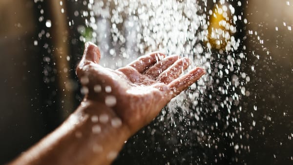 Finding Your Inner Fish: A Not-So-Serious Guide to Water Meditation